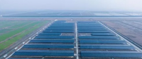 浙東15.6MW“牧光互補(bǔ)”牛棚發(fā)電站項(xiàng)目投產(chǎn) 為浙東最大