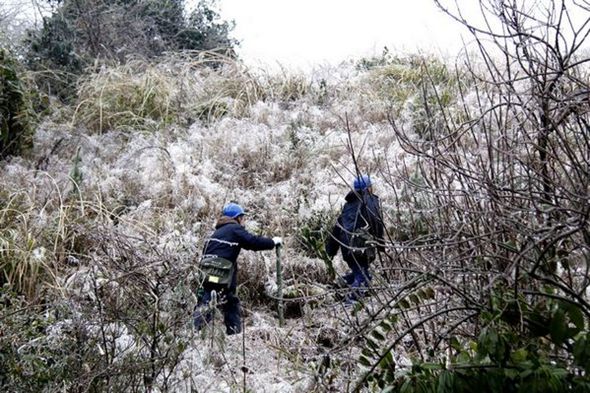 桂林興安供電冰雪來襲抗冰勇士在行動