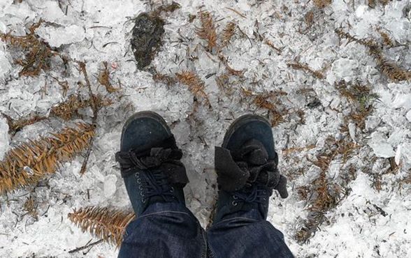 桂林興安供電冰雪來襲抗冰勇士在行動