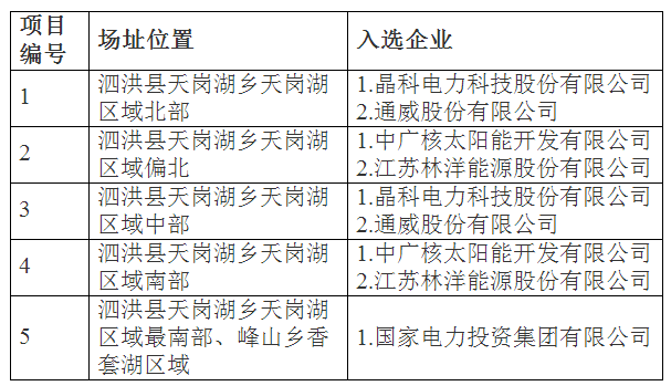 江蘇泗洪光伏發電應用領跑基地入選企業名單