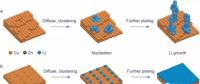 易放大且兼顧商業(yè)化 抑制鋰枝晶新成果有望應(yīng)用于鋰金屬陽極