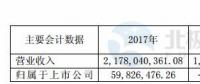 華儀電氣：2017年凈利潤5983萬元 實現扭虧為盈