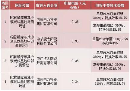 18家企業10個光伏應用領跑基地中標情況