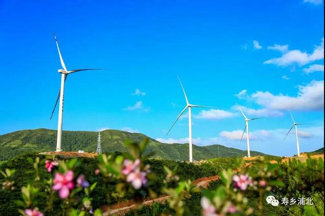 好一個龐然大物！欽州這個風電站建成這樣啦！