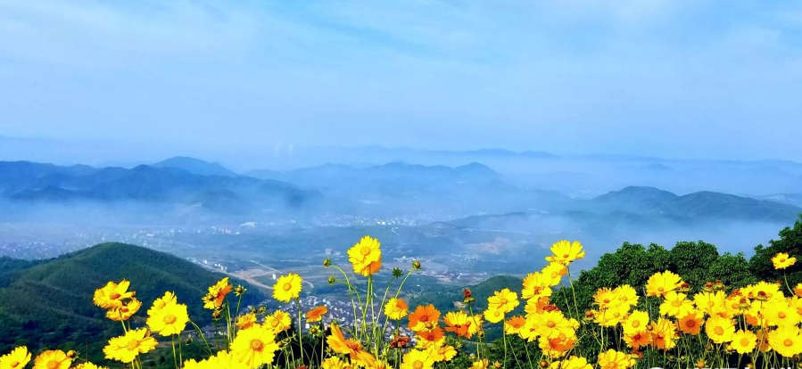 寧波一條風(fēng)電工程道路 變身“最美鮮花風(fēng)車公路”