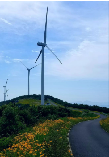 寧波一條風(fēng)電工程道路 變身“最美鮮花風(fēng)車公路”