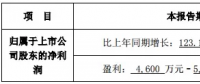 隆基、晶科齊發聲 “531”利大于弊？