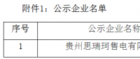 貴州公示1家新注冊(cè)的售電公司