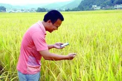 國務(wù)院常務(wù)會(huì)議鼓勵(lì)的“互聯(lián)網(wǎng)+農(nóng)業(yè)”創(chuàng)新手段，幫你找到了案例