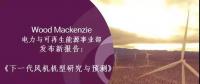 12-15MW+！歐洲“零補(bǔ)貼”海上風(fēng)場項目開發(fā)主要選型