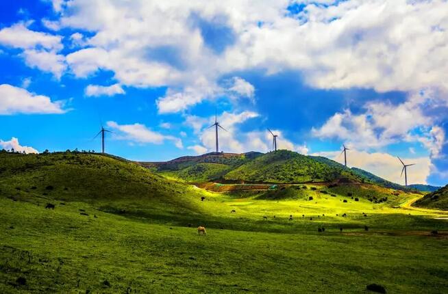 風電項目開發降本增效研究