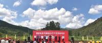 投資4.1億元！平遙建設(shè)風(fēng)力發(fā)電群