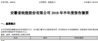 半年報丨皖能電力上半年營業收入58.66億元