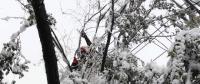 新疆烏魯木齊暴雪致17條配網線路停電