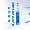 PPT|華北電力大學(xué)教授王鵬：支持局域電網(wǎng)開展試點