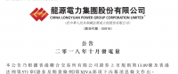 龍?jiān)措娏Γ?0月份風(fēng)電發(fā)電量33.09億元 同比增加4.09%