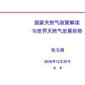 國家能源局原副局長張玉清：國家天然氣政策解讀與世界天然氣發(fā)展形勢